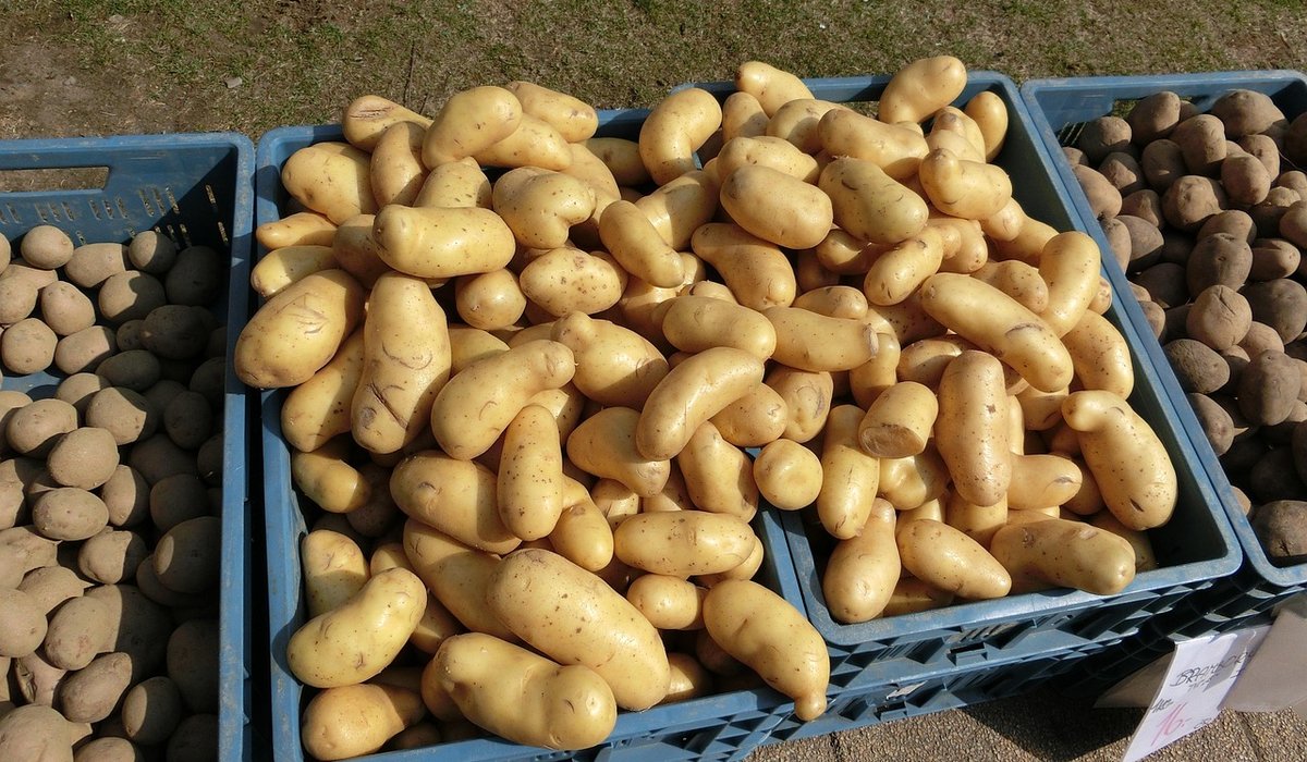 Organising a Pantry So You Can See Every Ingredient